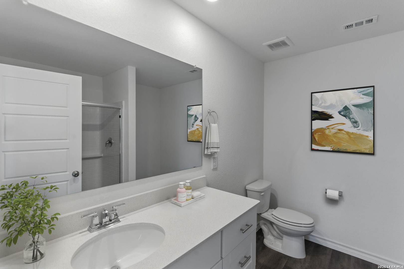 433 Raven Row Marion, TX 78124 - Photo 6 of 7 a bathroom with a sink a toilet and mirror
