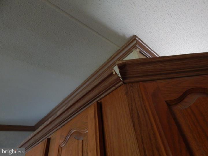353 Jackson Ditch Road Harrington, DE 19952 - Photo 22 of 24 Gallery Image 22
