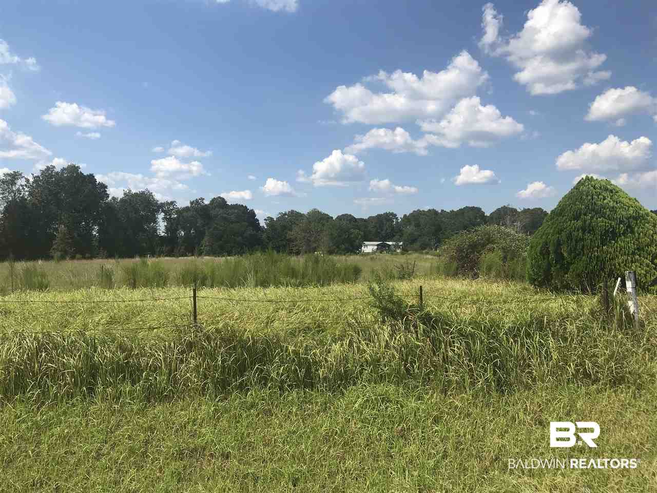 8480 Sand Ridge Road Citronelle, AL 36522 - Photo 6 of 8