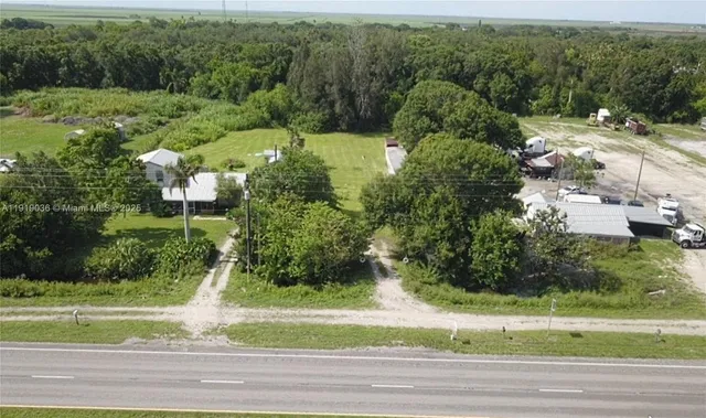 a view of a yard with of trees
