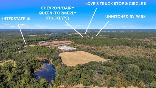 a view of a backyard of the house