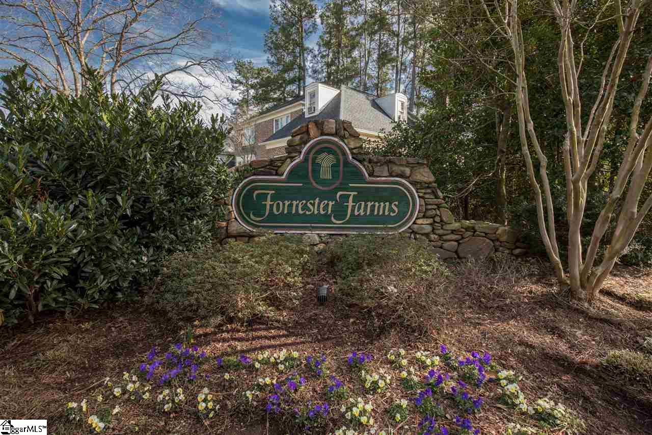 211 Burning Bush Road Mauldin, SC 29662 - Photo 27 of 31 Gallery Image 27