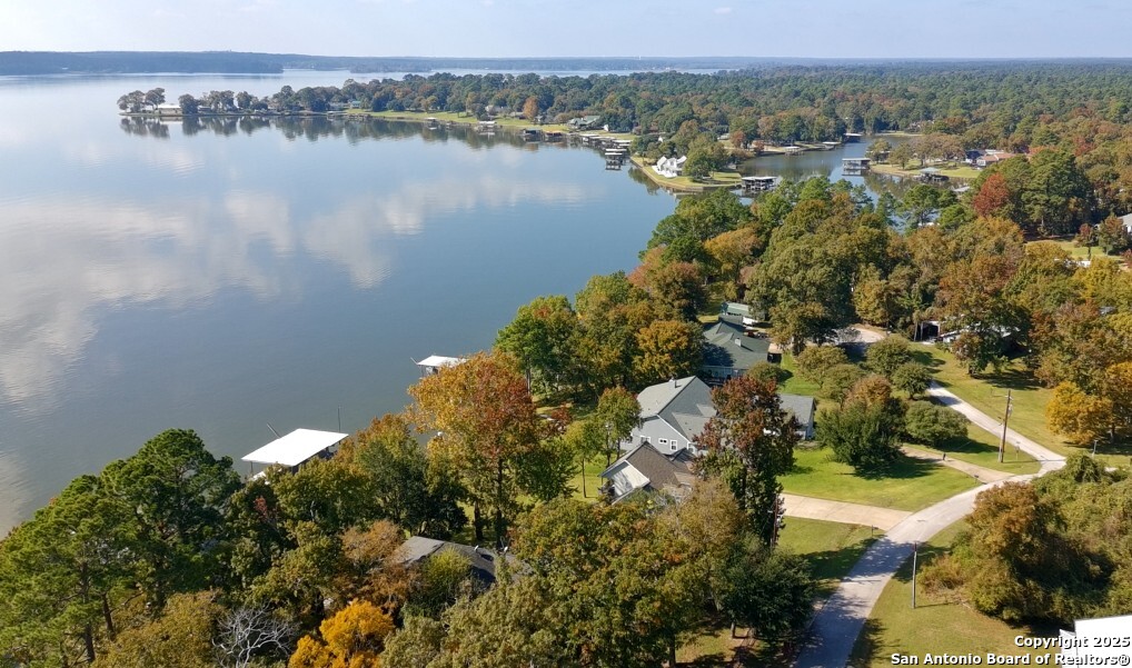Lot 103 Shoreline Drive Trinity, TX 75862 - Photo 4 of 17