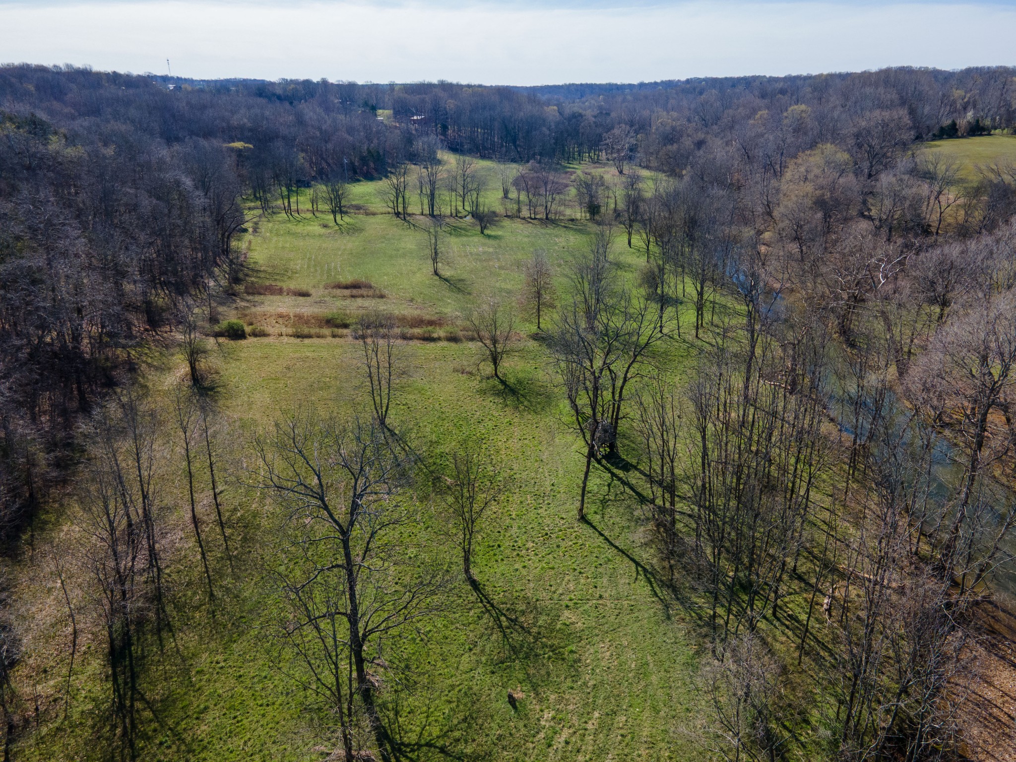 0 Empson Road White House, TN 37188 - Photo 35 of 41 Gallery Image 35
