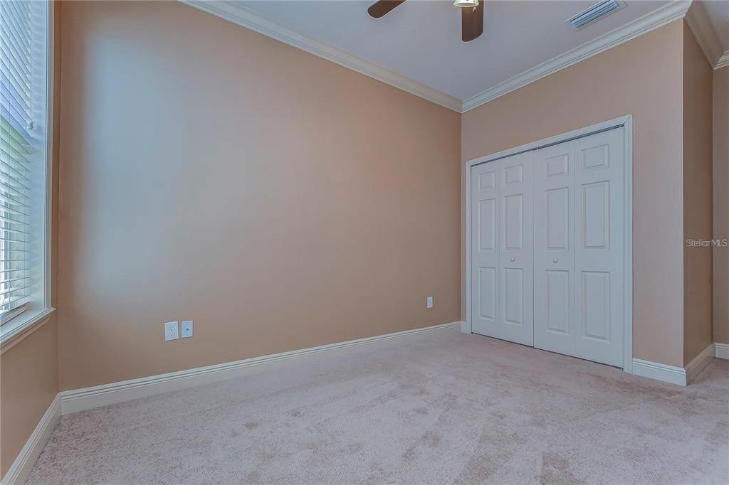 19391 Long Lake Ranch Boulevard Lutz, FL 33558 - Photo 16 of 28