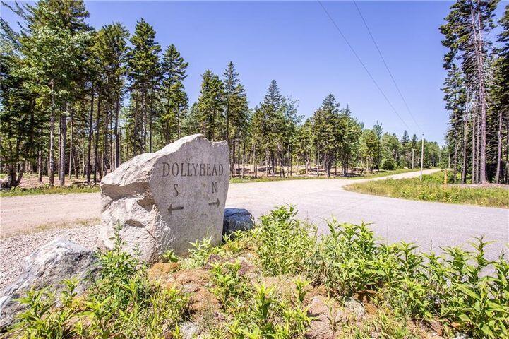 0 Estates Road, Unit LOT #33 Steuben, ME 04680 - Photo 10 of 15 Dolly Head Stone