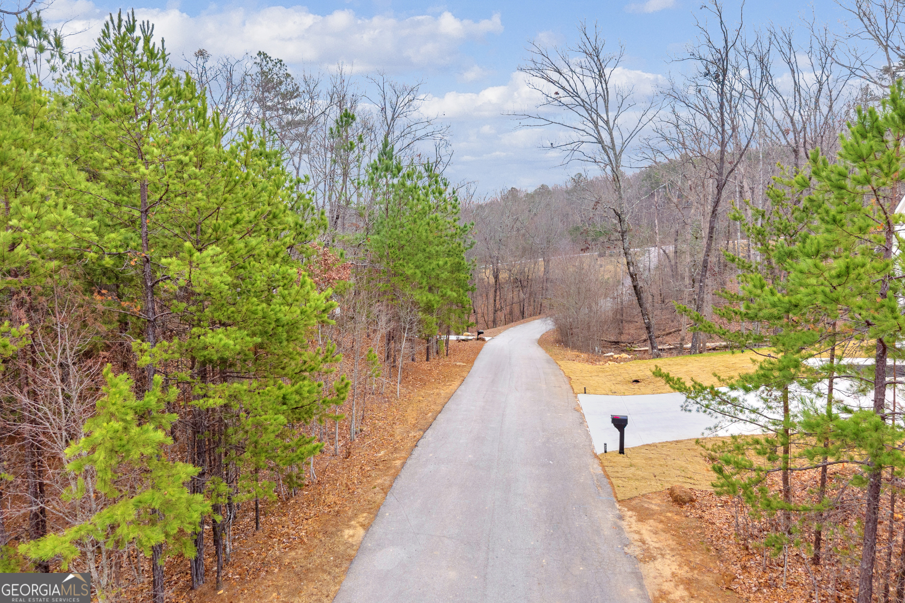 0 Planters Pointe Lane, Unit LOT 35 Baldwin, GA 30511 - Photo 11 of 16 a view of a backyard with plants