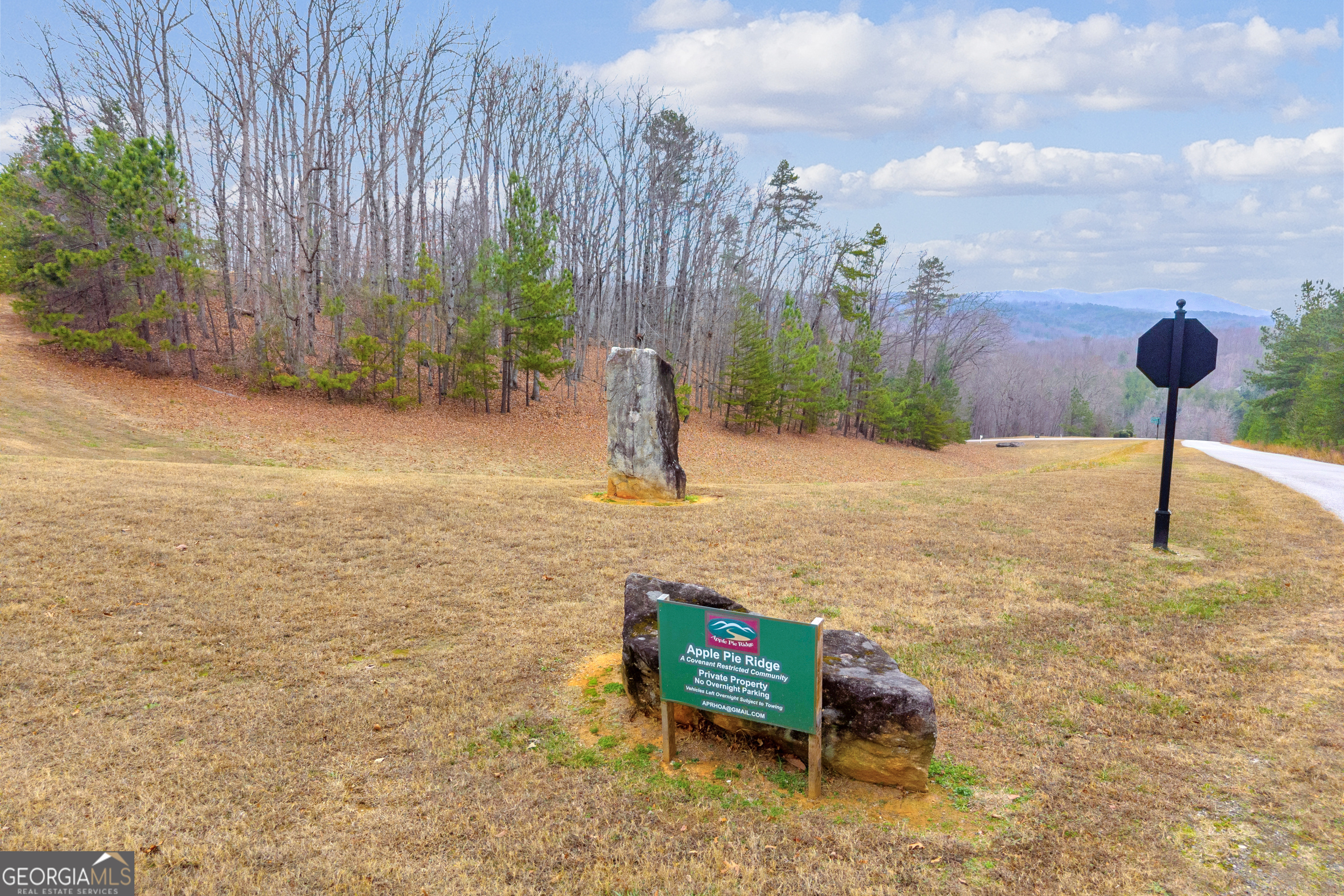 0 Planters Pointe Lane, Unit LOT 35 Baldwin, GA 30511 - Photo 7 of 16 a swimming pool with an outdoor space