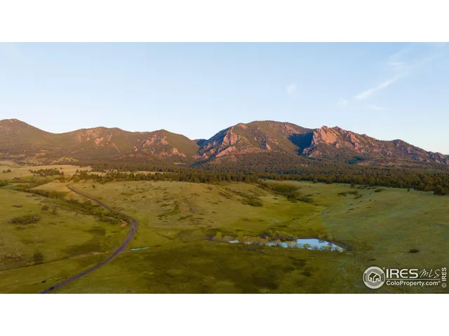 a black and white photo of a yard