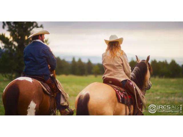 a black and white photo of a garden