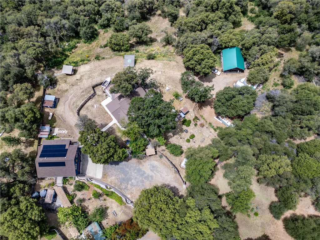 51571 Coyote Rdg Road Oakhurst, CA 93644 - Photo 20 of 75