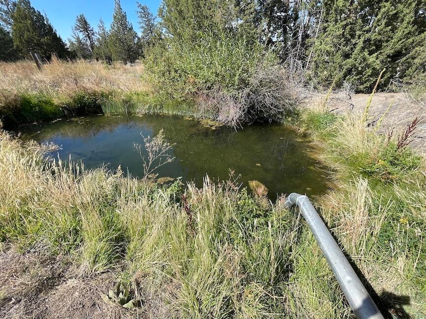 62955 Johnson Ranch Road Bend, OR 97701 - Photo 6 of 8 Ktz Pond