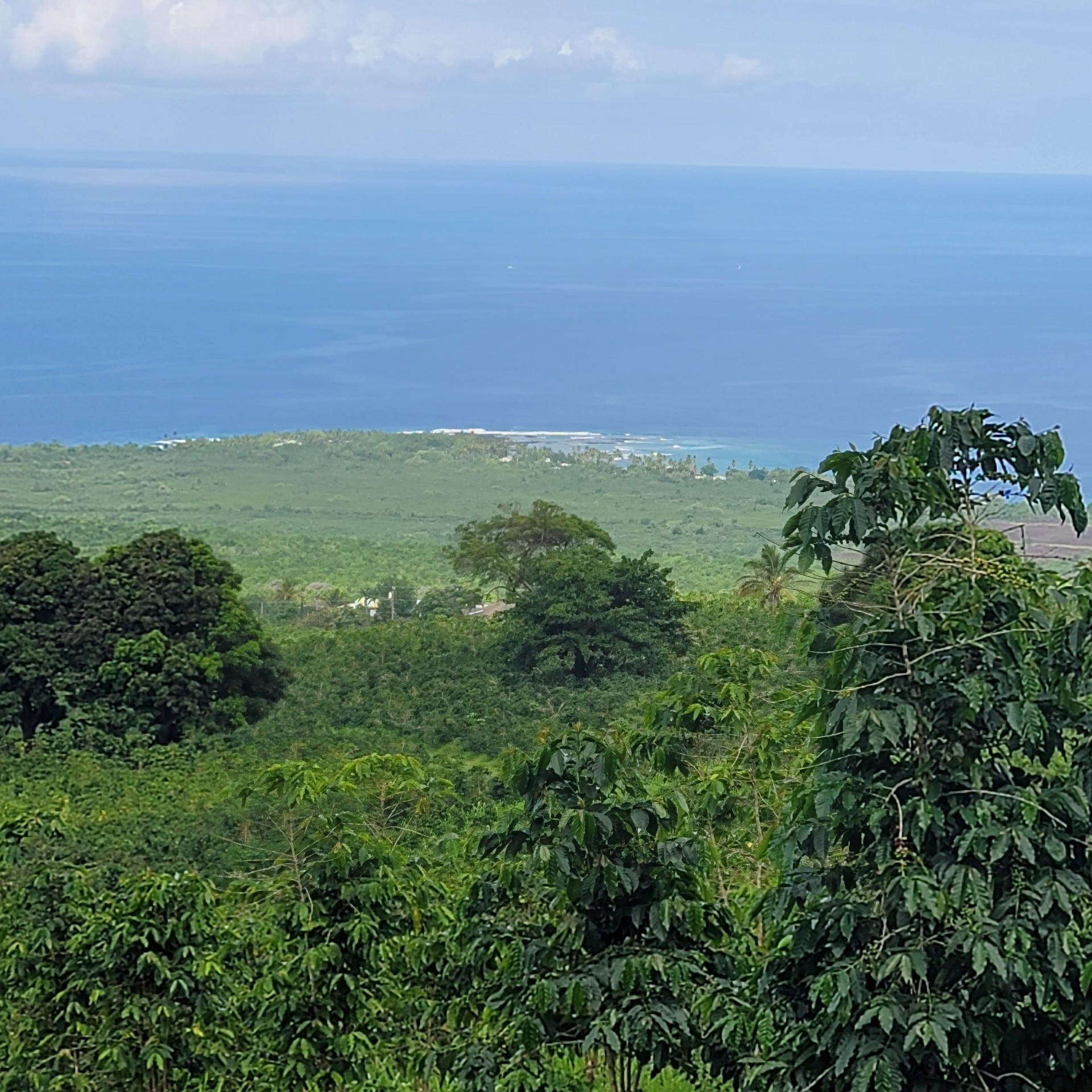 86 Rock Bottom Road Captain Cook, HI 96704 - Photo 2 of 5 an aerial view of residential houses with outdoor space and trees