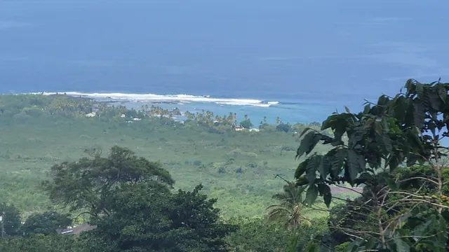 a view of lake and green space