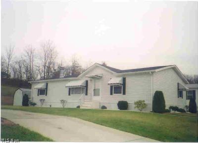 14980 Sprucevale Road, Unit 8 Calcutta, OH 43920 - Photo 1 of 1 Gallery Image 1