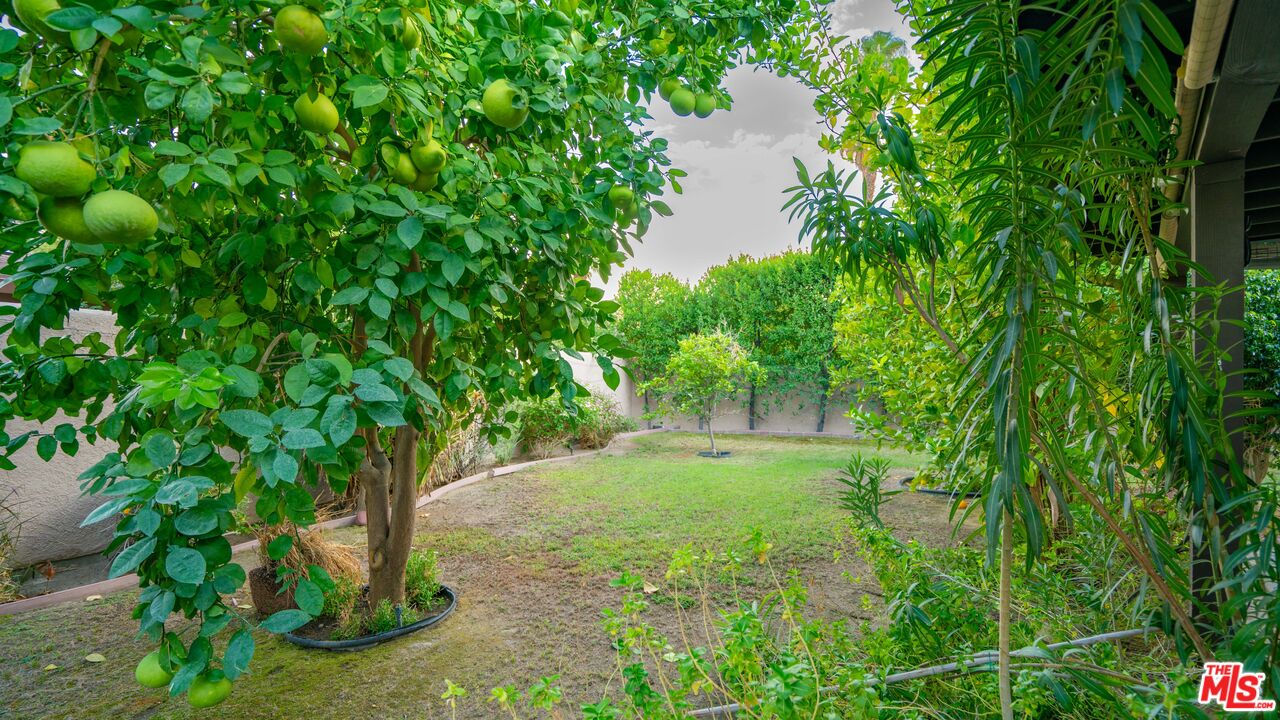 1592 South Compadre Road Palm Springs, CA 92264 - Photo 42 of 53 a view of a garden with a lake
