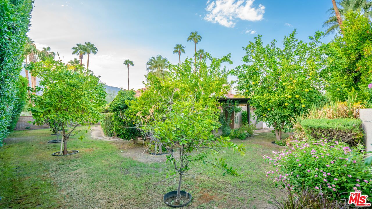 1592 South Compadre Road Palm Springs, CA 92264 - Photo 43 of 53 a view of a garden with a fountain