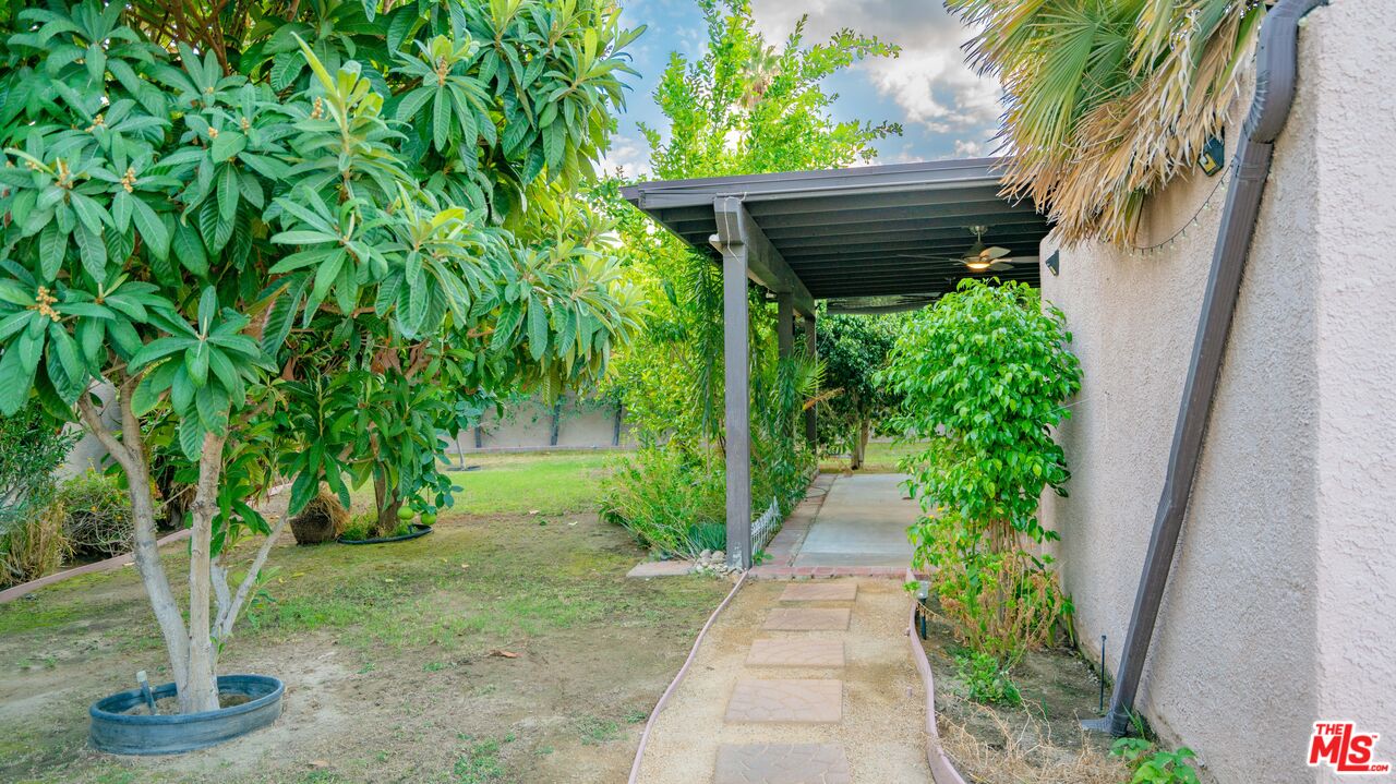 1592 South Compadre Road Palm Springs, CA 92264 - Photo 48 of 53 a view of a pathway with plants and trees