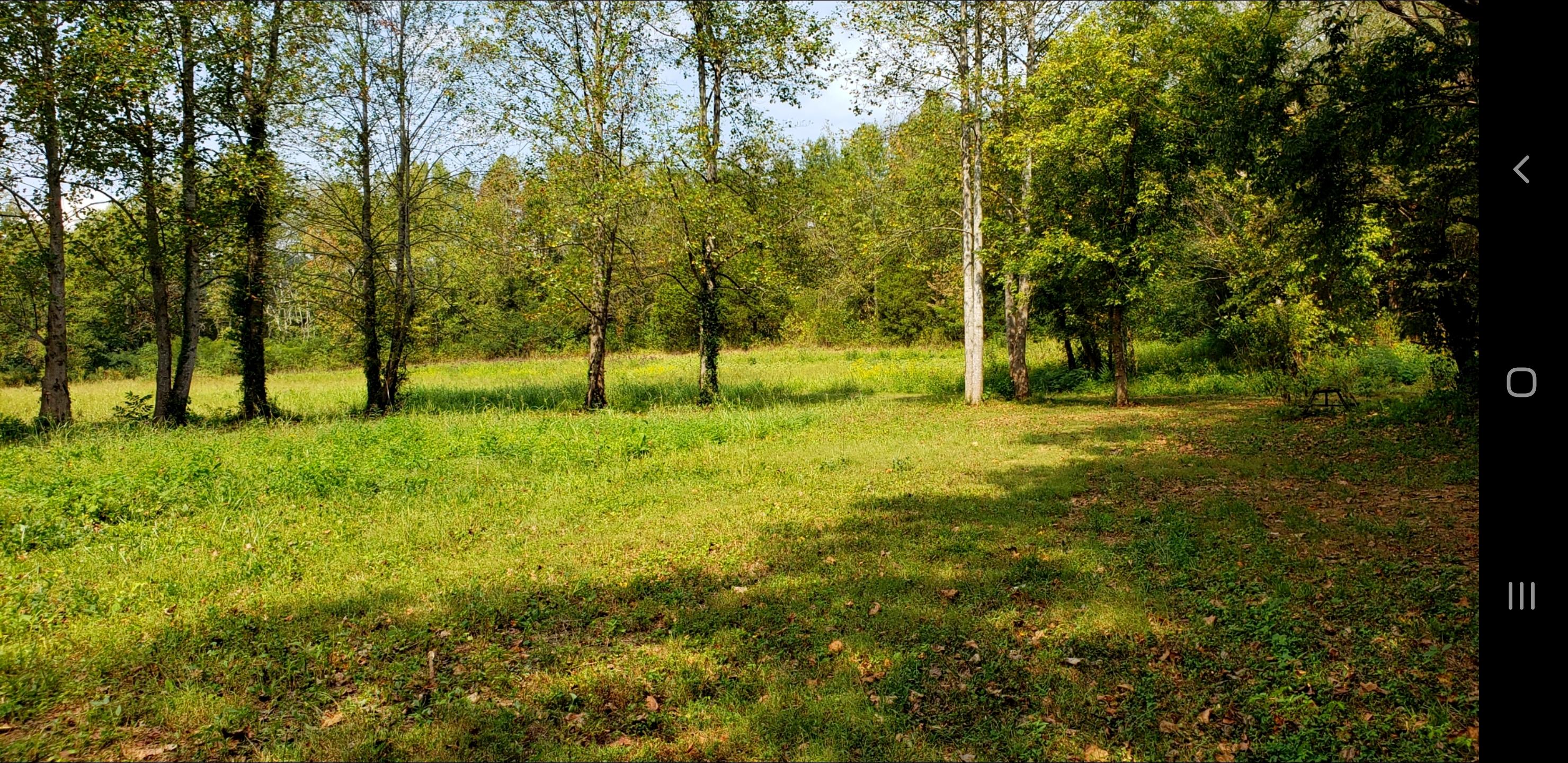 213 Webb Road Townsend, TN 37882 - Photo 11 of 13 213 Webb Road, Townsend