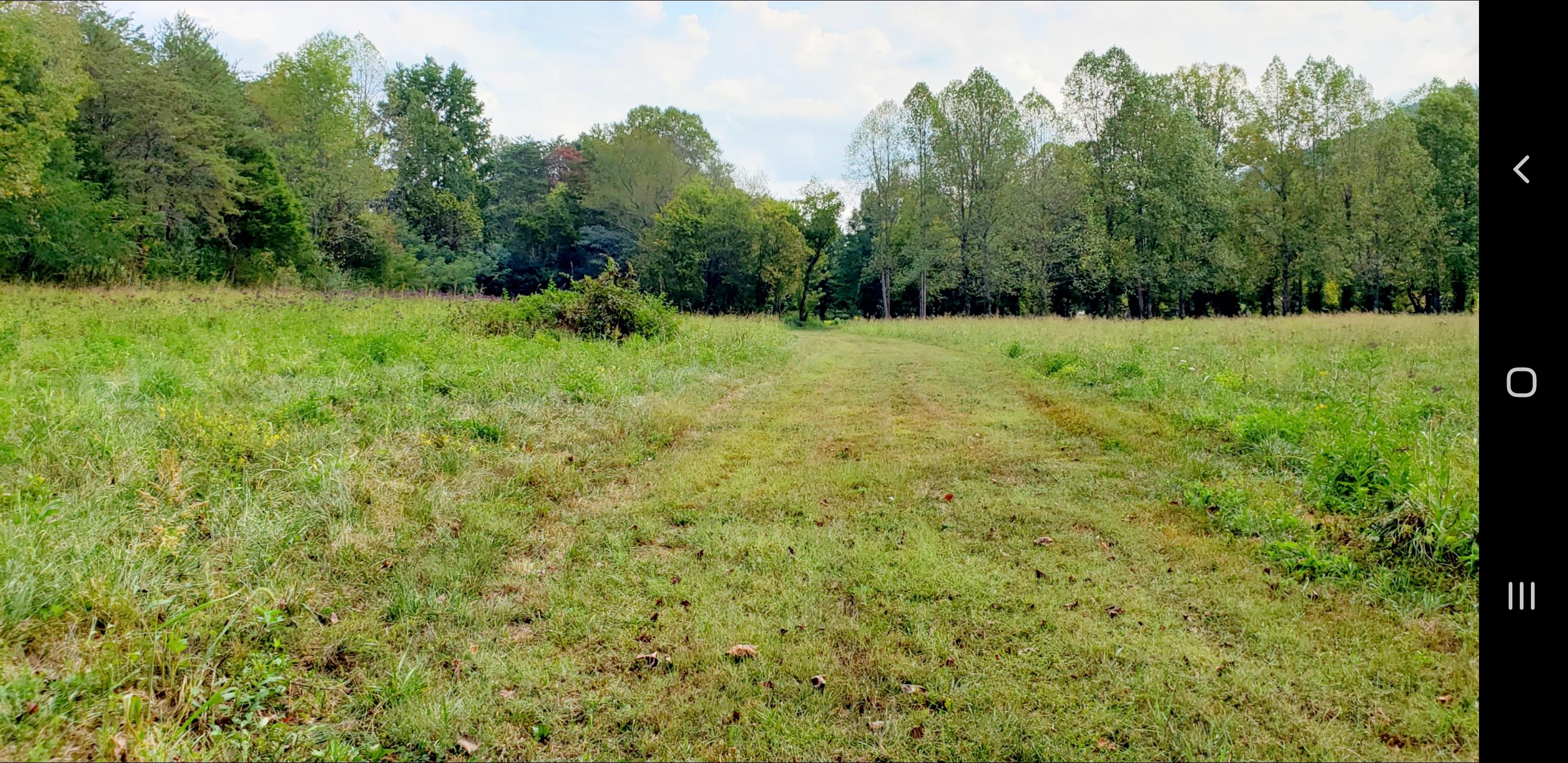 213 Webb Road Townsend, TN 37882 - Photo 12 of 13 213 Webb Road, Townsend, TN