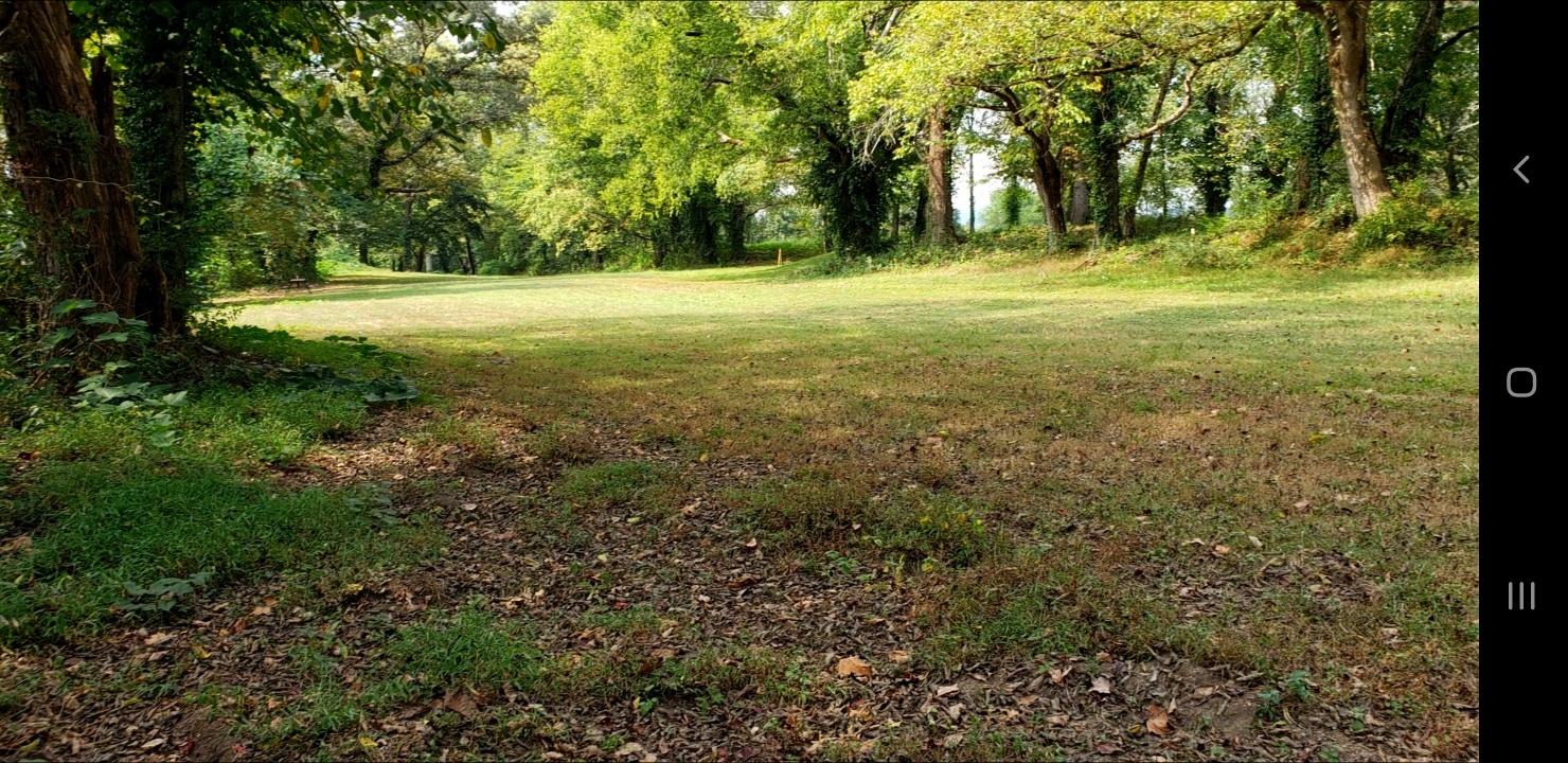 213 Webb Road Townsend, TN 37882 - Photo 3 of 13 213 Webb Road, Townsend, TN