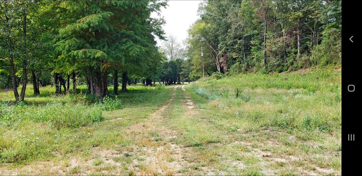213 Webb Road Townsend, TN 37882 - Photo 4 of 13 213 Webb Road, Townsend, TN
