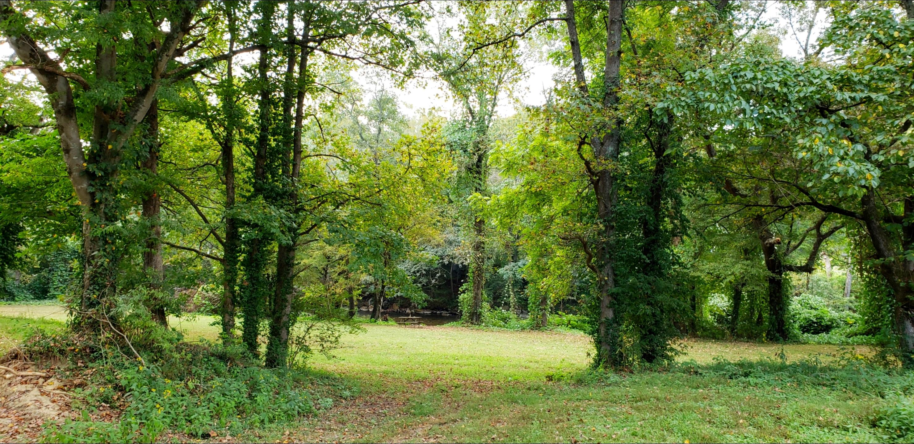 213 Webb Road Townsend, TN 37882 - Photo 6 of 13 213 Webb Road, Townsend, TN 37882