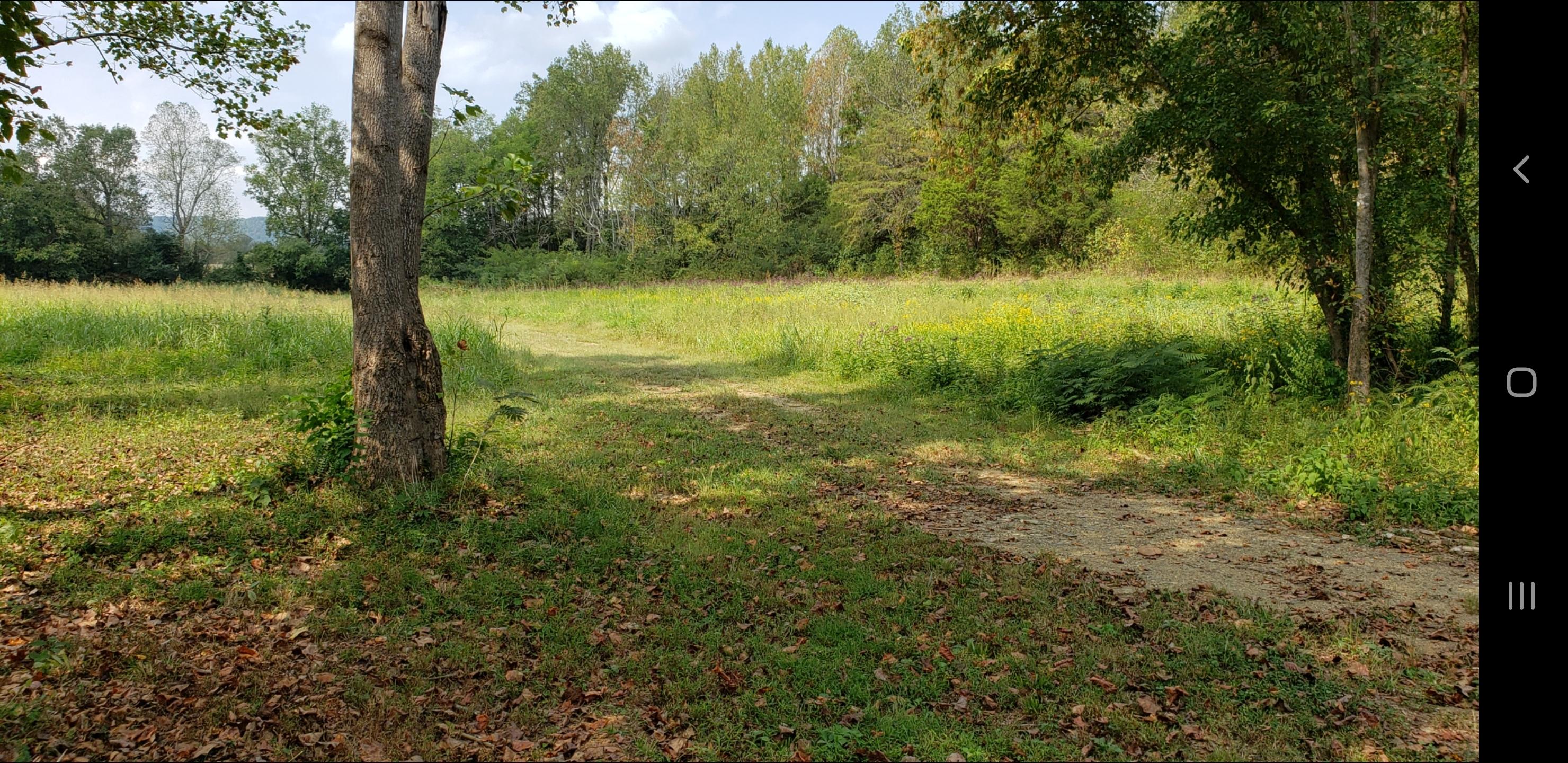 213 Webb Road Townsend, TN 37882 - Photo 10 of 13 213 Webb Road, Townsend