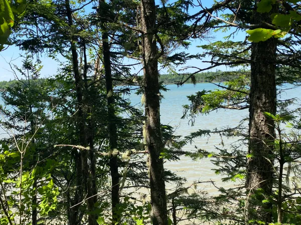 $150,000 | 15 North Middle Ground View, Jonesport, ME 04649