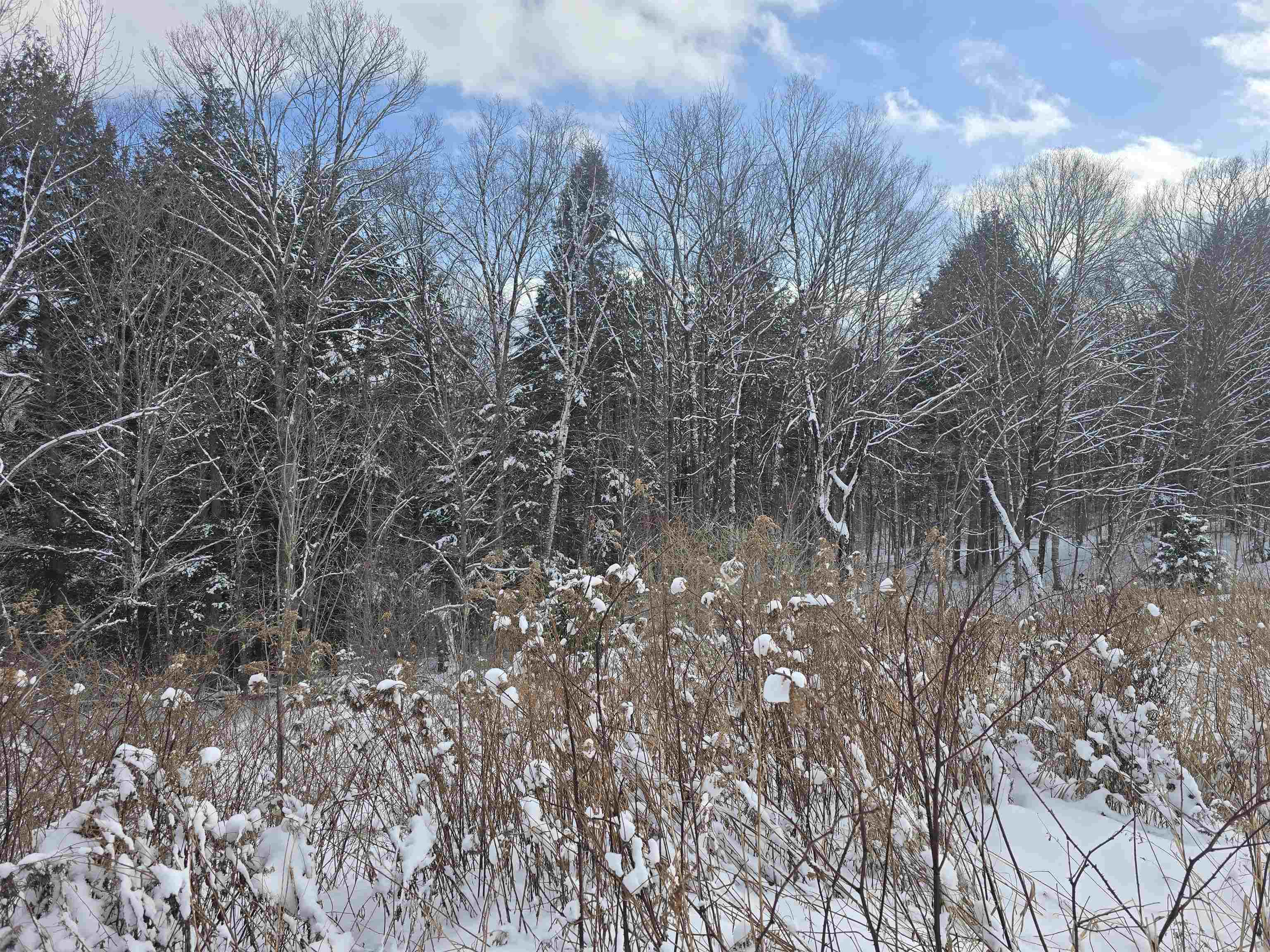 Tbd Farrar Road Chester, VT 05143 - Photo 6 of 24