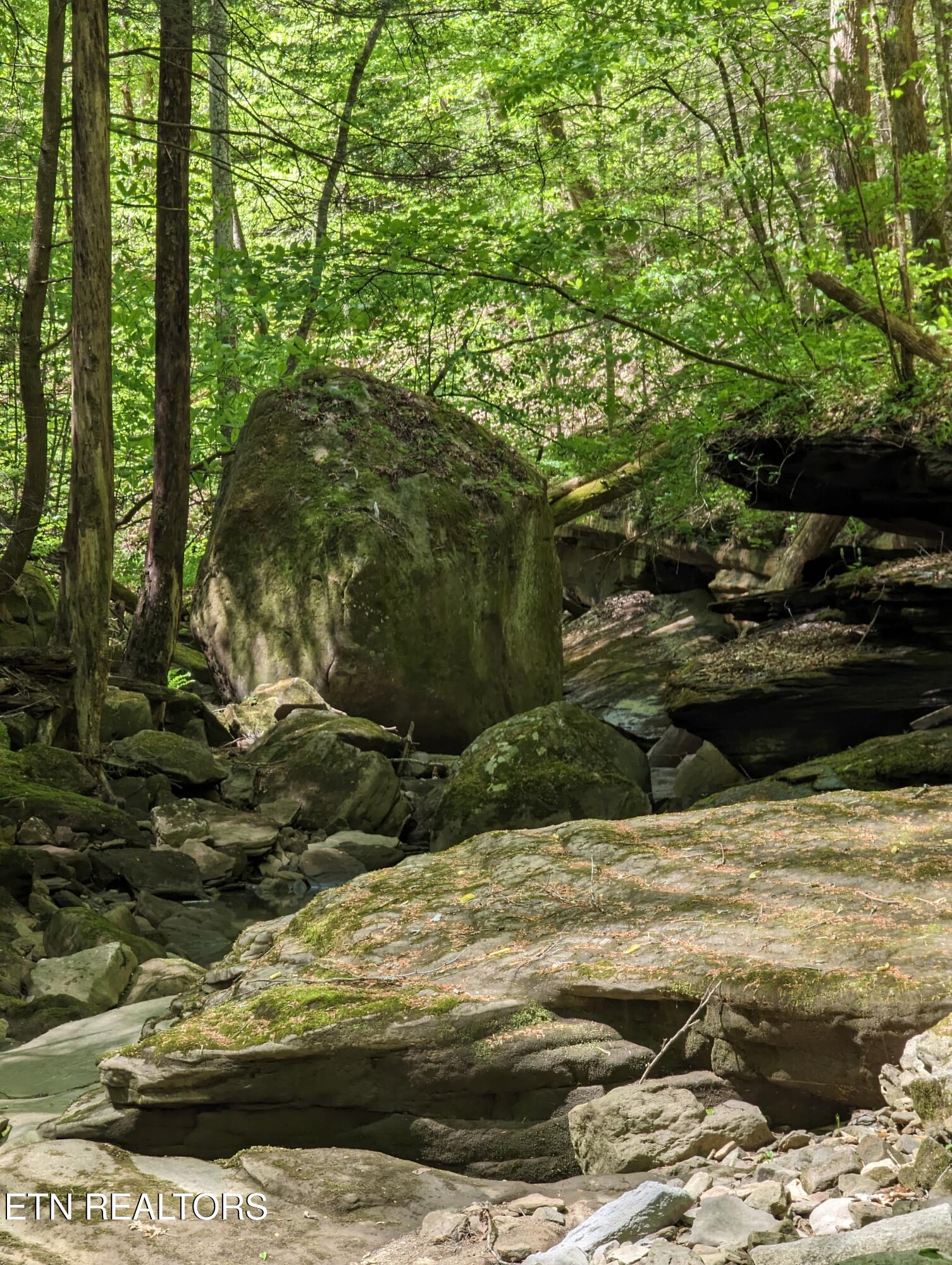Cherokee Path Jamestown, TN 38556 - Photo 6 of 14 6