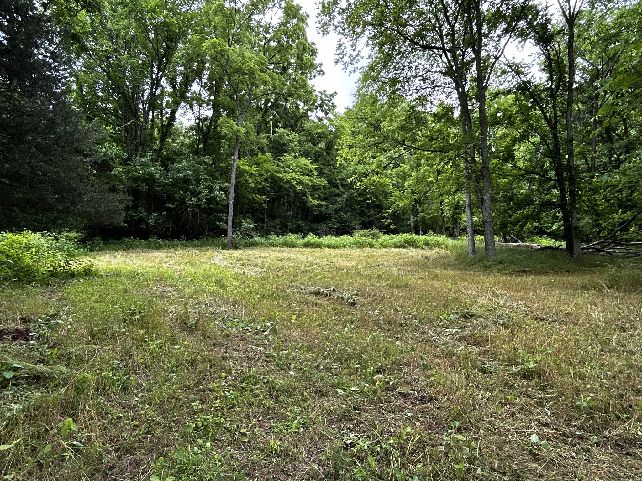 98 Hackett Valley Road Hickman, TN 38567 - Photo 11 of 41