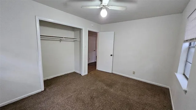 a backyard of a house with plants and large tree
