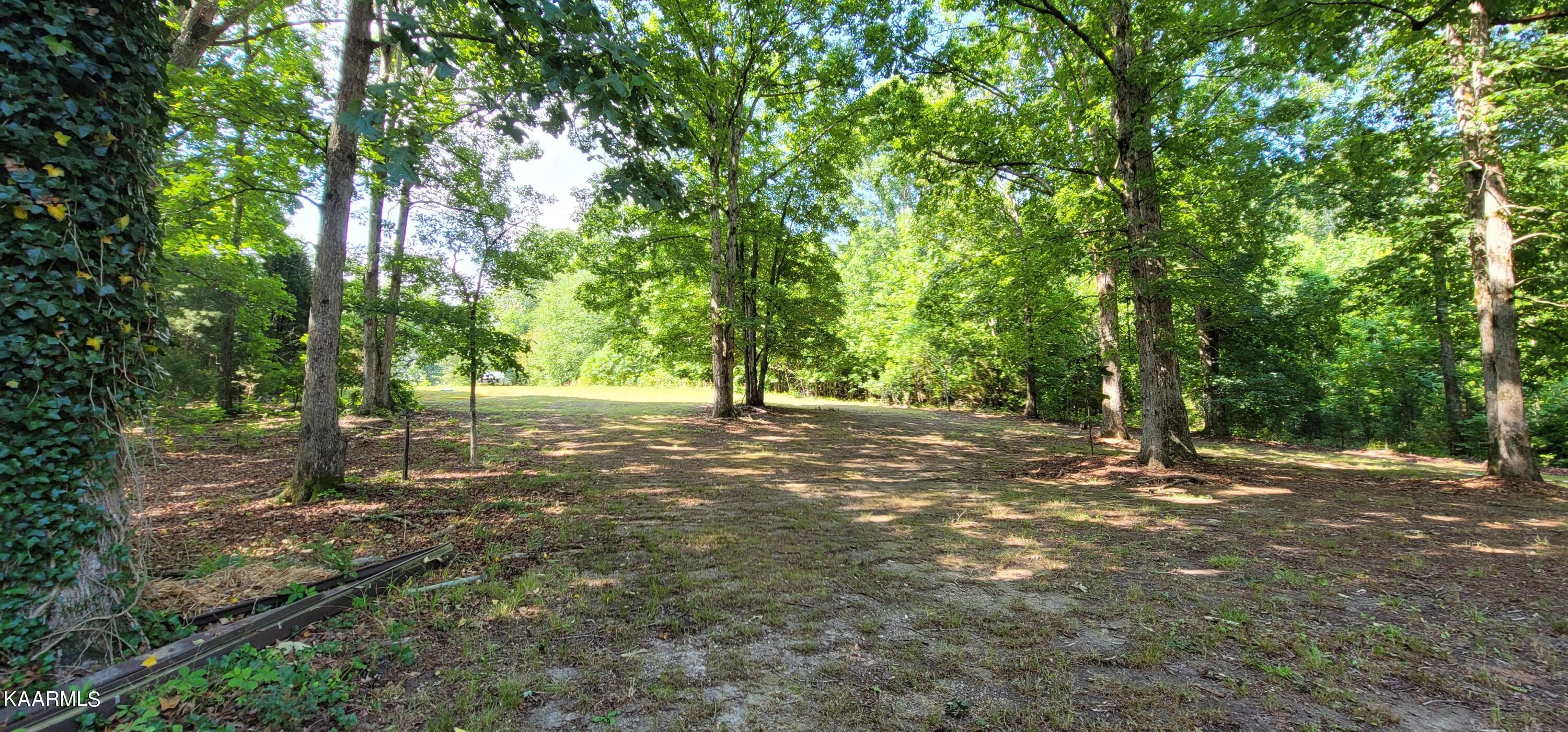 715 Wasson Road Ten Mile, TN 37880 - Photo 1 of 28 20220629_104828
