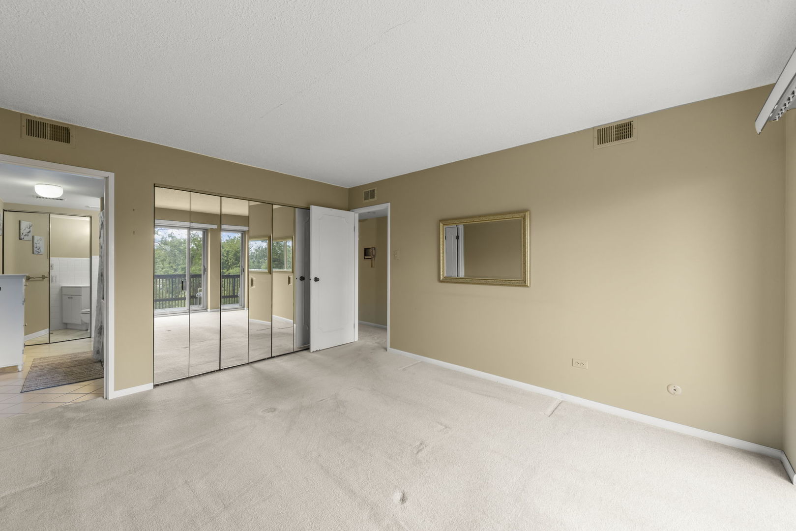 500 Redondo Drive, Unit 409 Downers Grove, IL 60516 - Photo 12 of 18 a view of an empty room with glass door