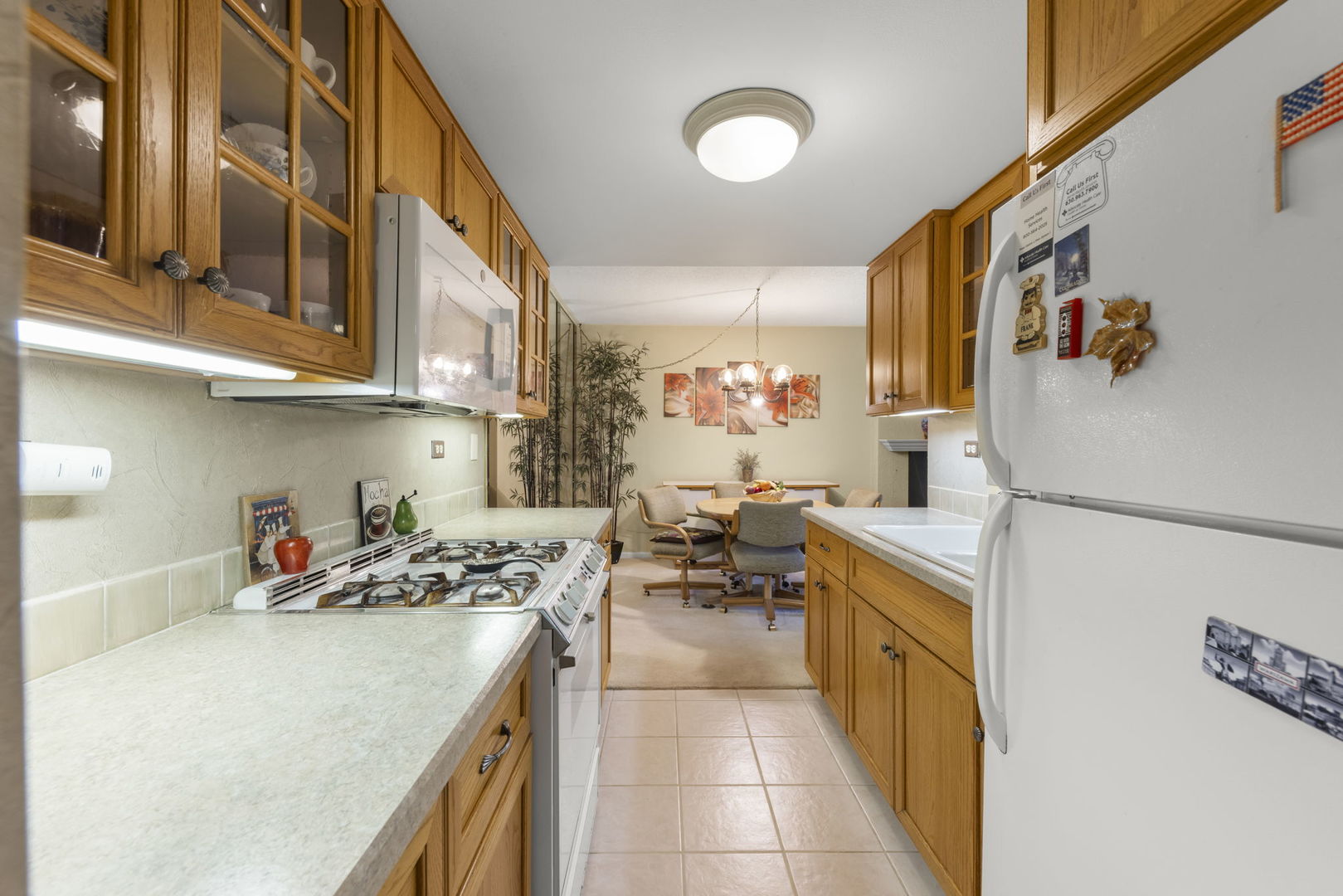 500 Redondo Drive, Unit 409 Downers Grove, IL 60516 - Photo 7 of 18 a kitchen with stainless steel appliances granite countertop a sink and cabinets