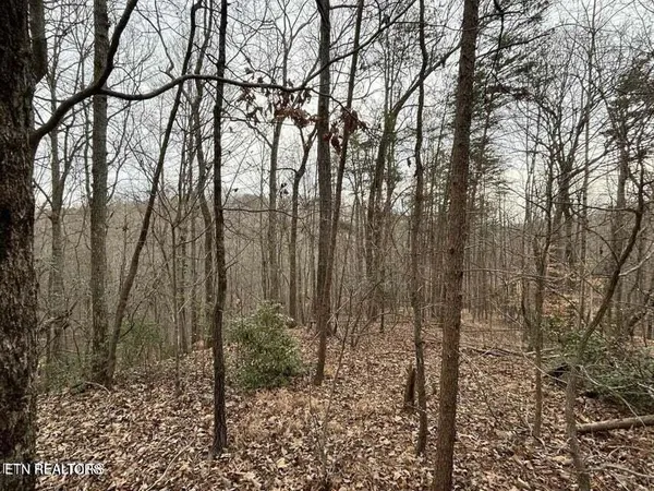 $24,900 | Ten Mile Tn 37880 Drive, Ten Mile, TN 37880