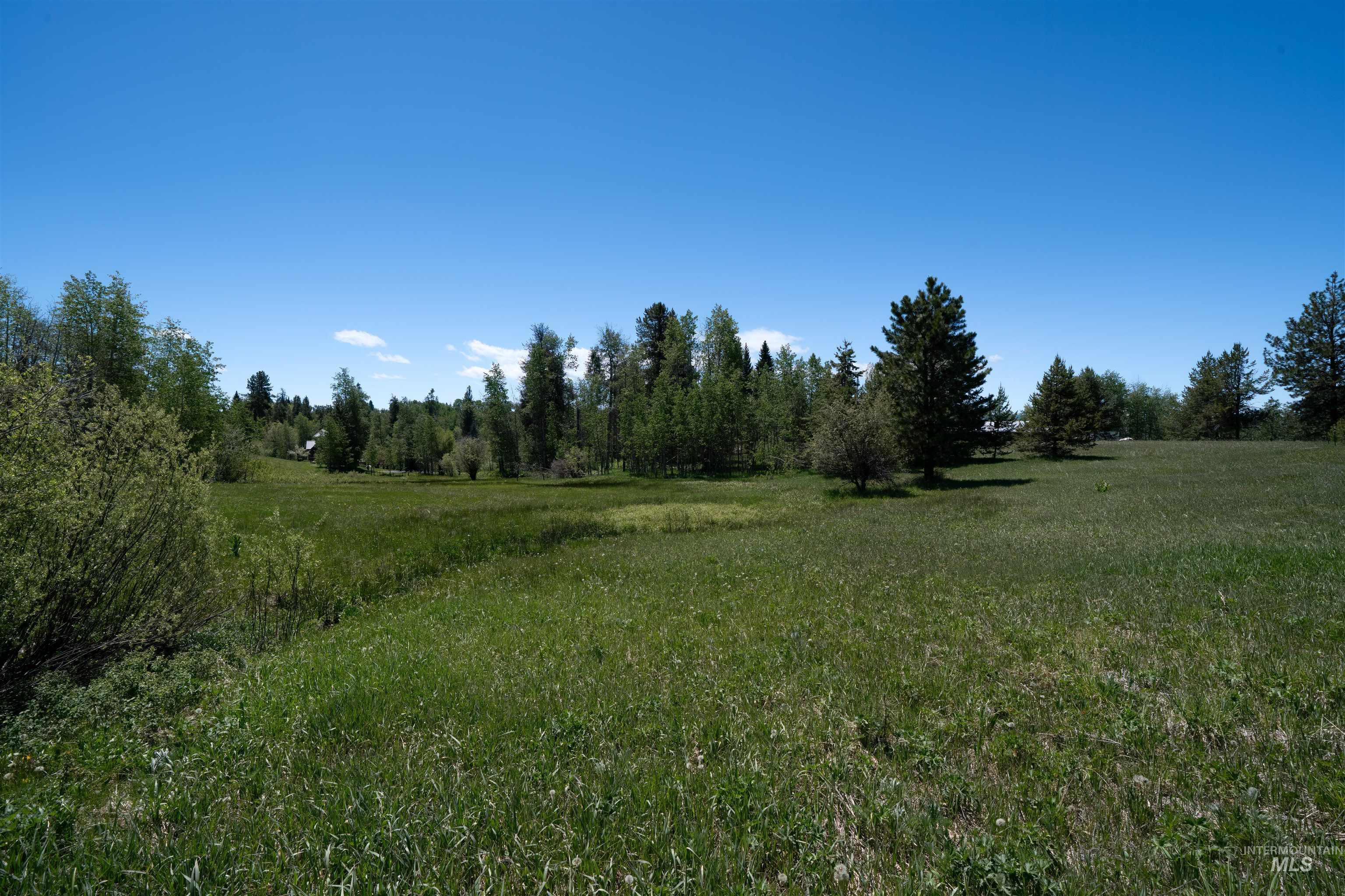 14128 Jefferson Road McCall, ID 83638 - Photo 11 of 14