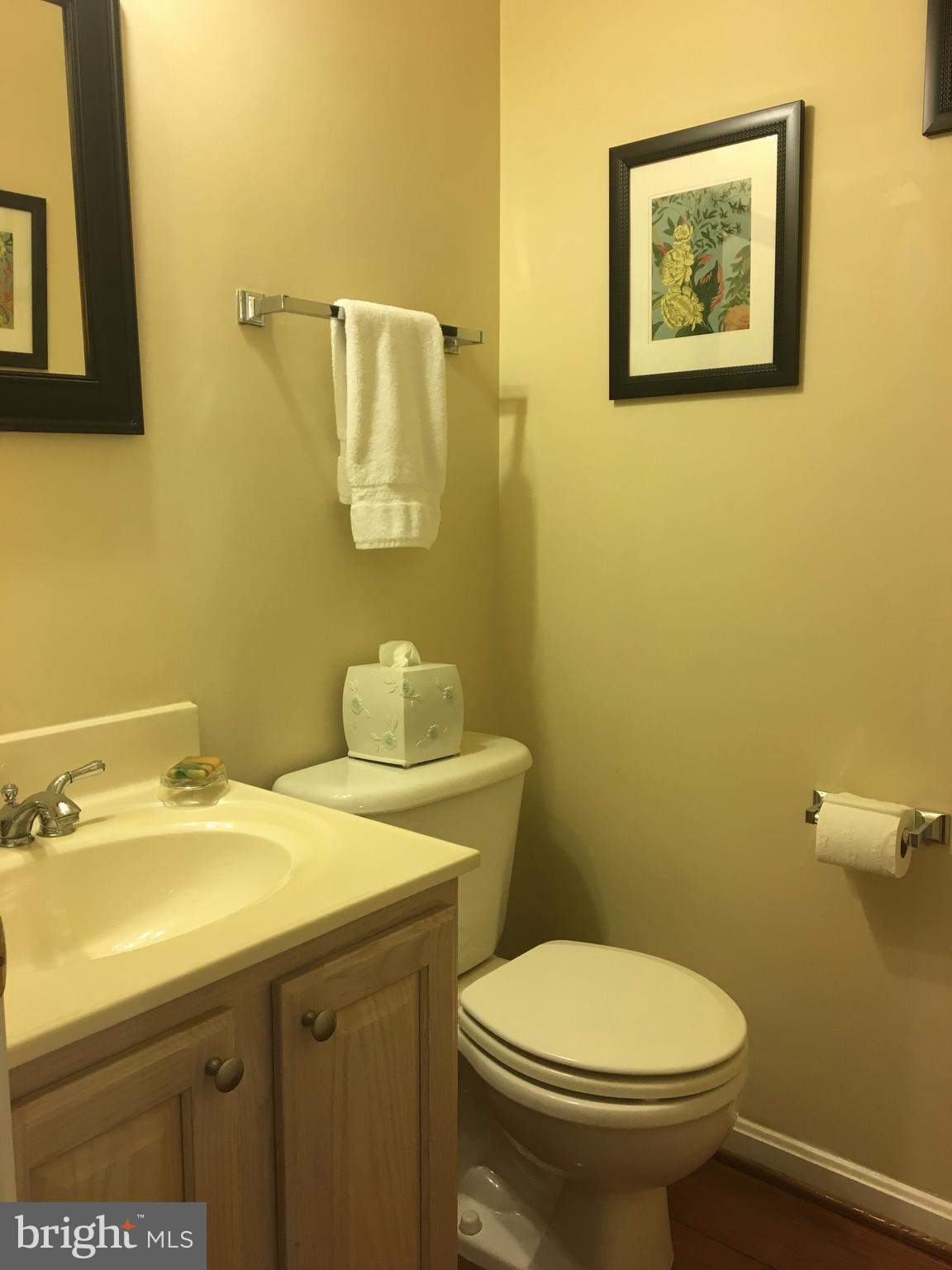 2628 Mill Race Road Frederick, MD 21701 - Photo 4 of 11 Main level powder room