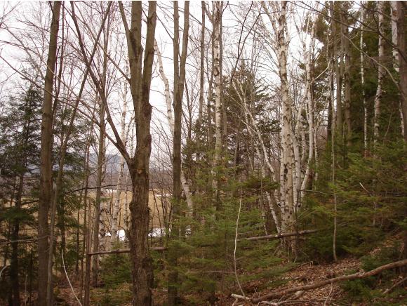 49 Pion Road Lowell, VT 05847 - Photo 7 of 10