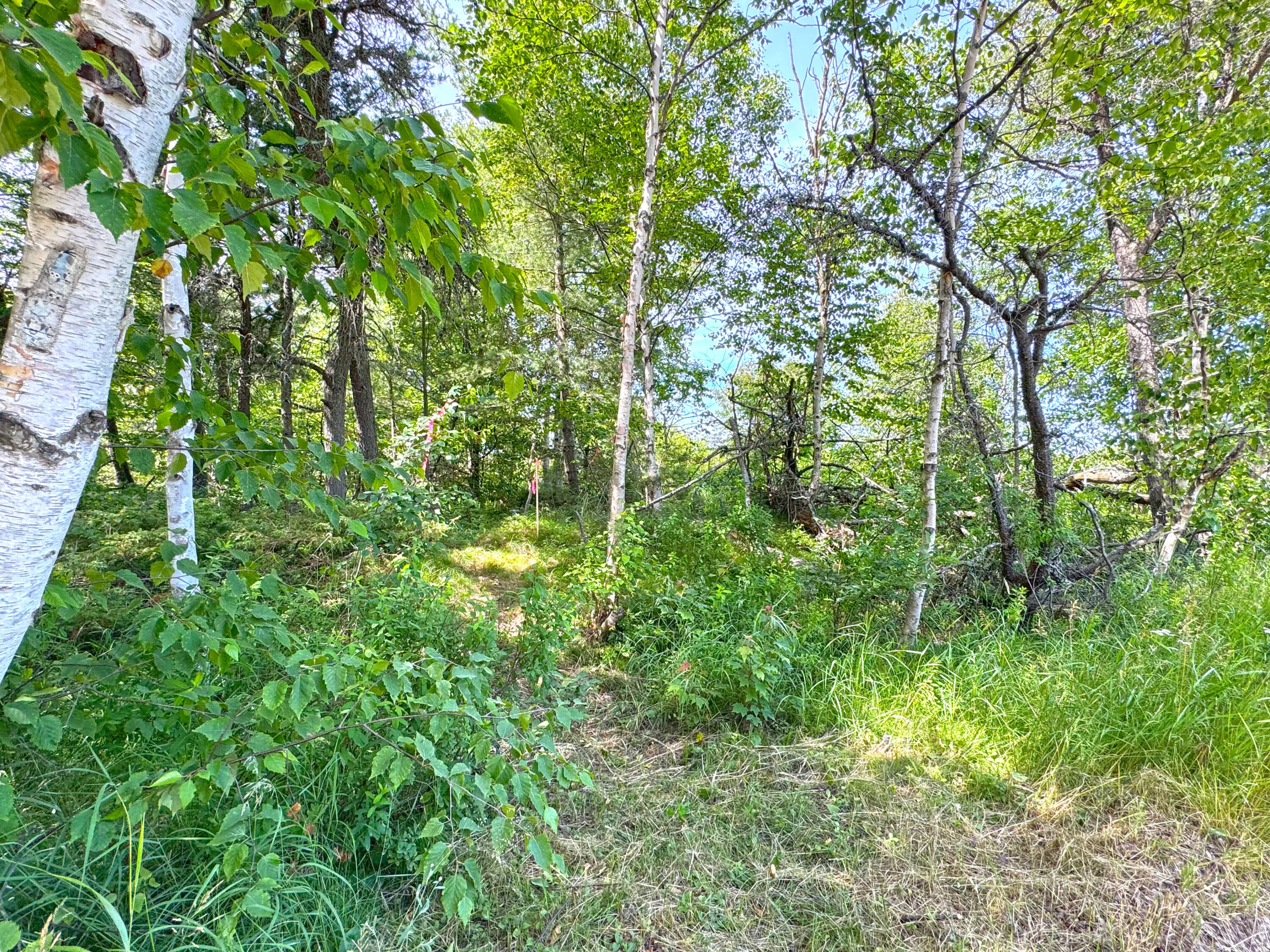 31005 West Wild Cat Road Paradise, MI 49768 - Photo 20 of 90 Gallery Image 20
