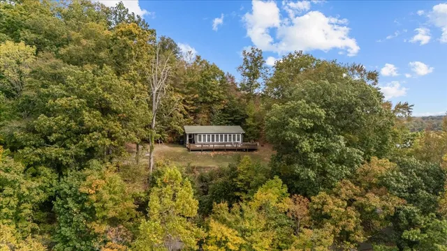 a view of a sign of under a tree