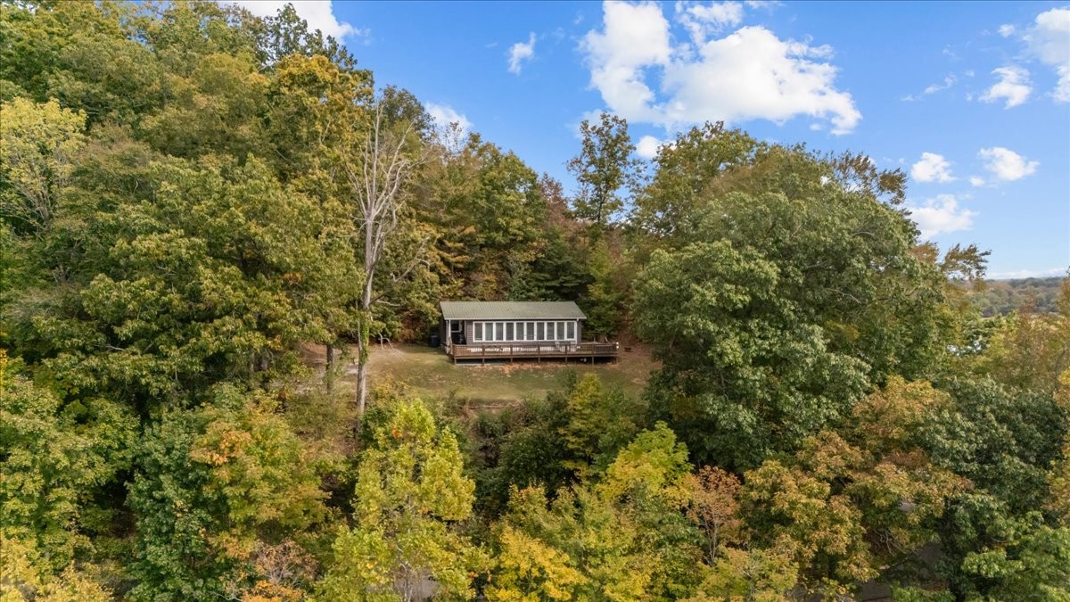 a view of a sign of under a tree
