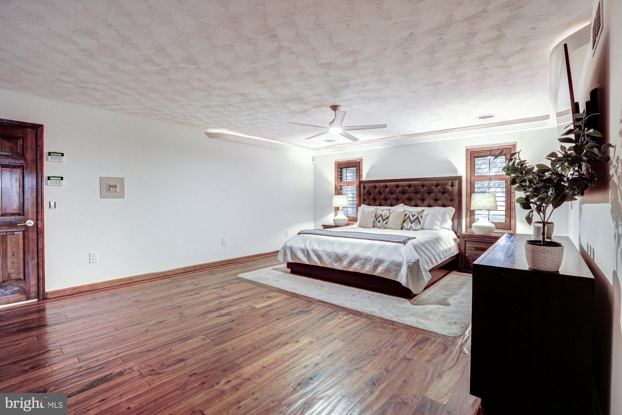 550 Green Giant Road Townsend, DE 19734 - Photo 69 of 145 a bedroom with a bed and a potted plant on dresser