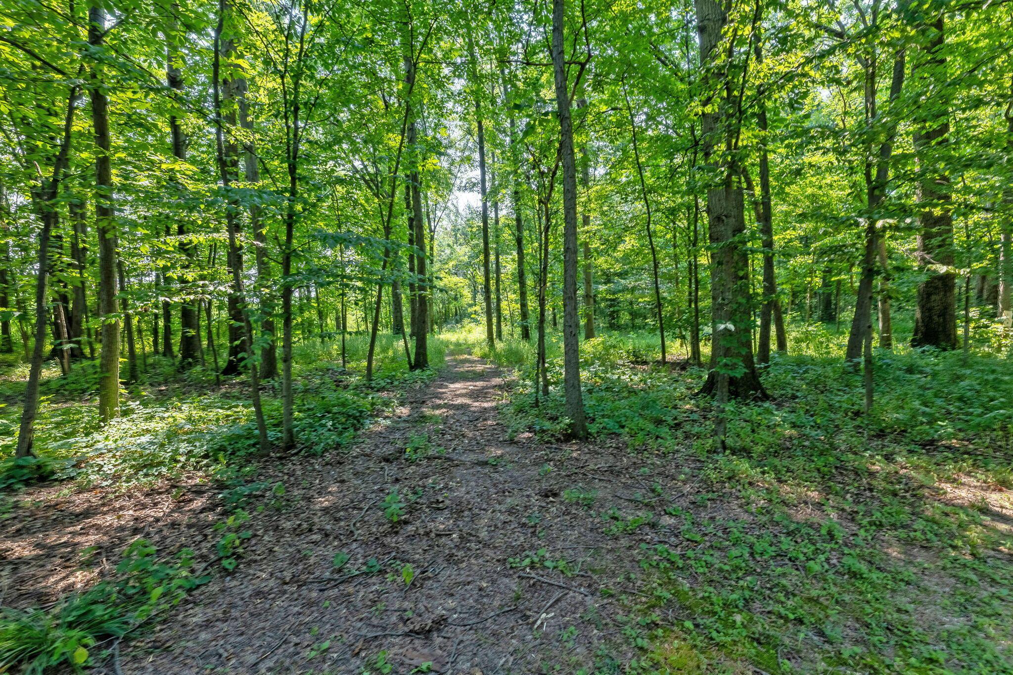 579 North County Line Road Sunbury, OH 43074 - Photo 66 of 74 20-web-or-mls-579NCountyLineRoadExt_Homm