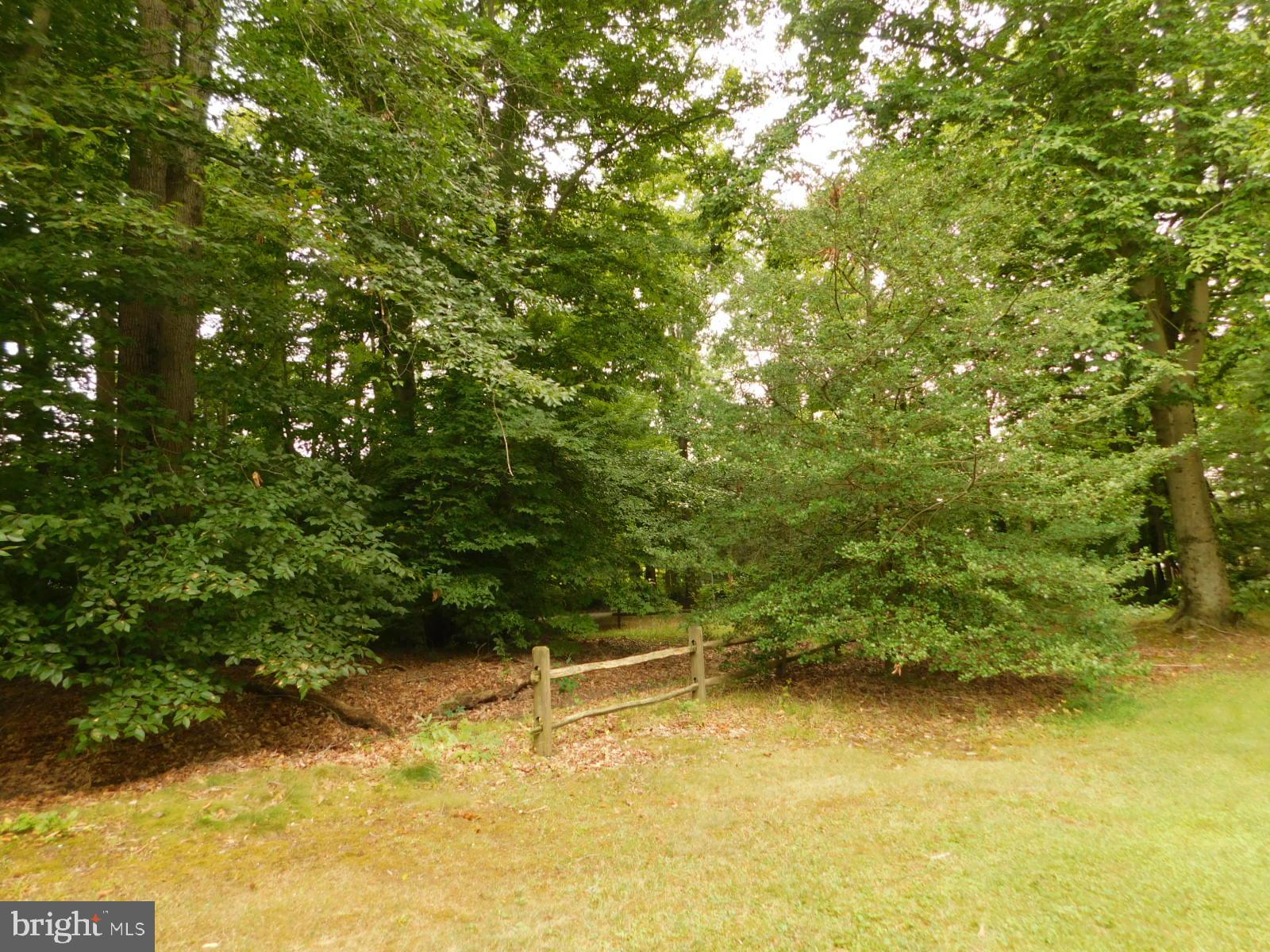 575 Deans Bank Road North East, MD 21901 - Photo 6 of 97 Gallery Image 6
