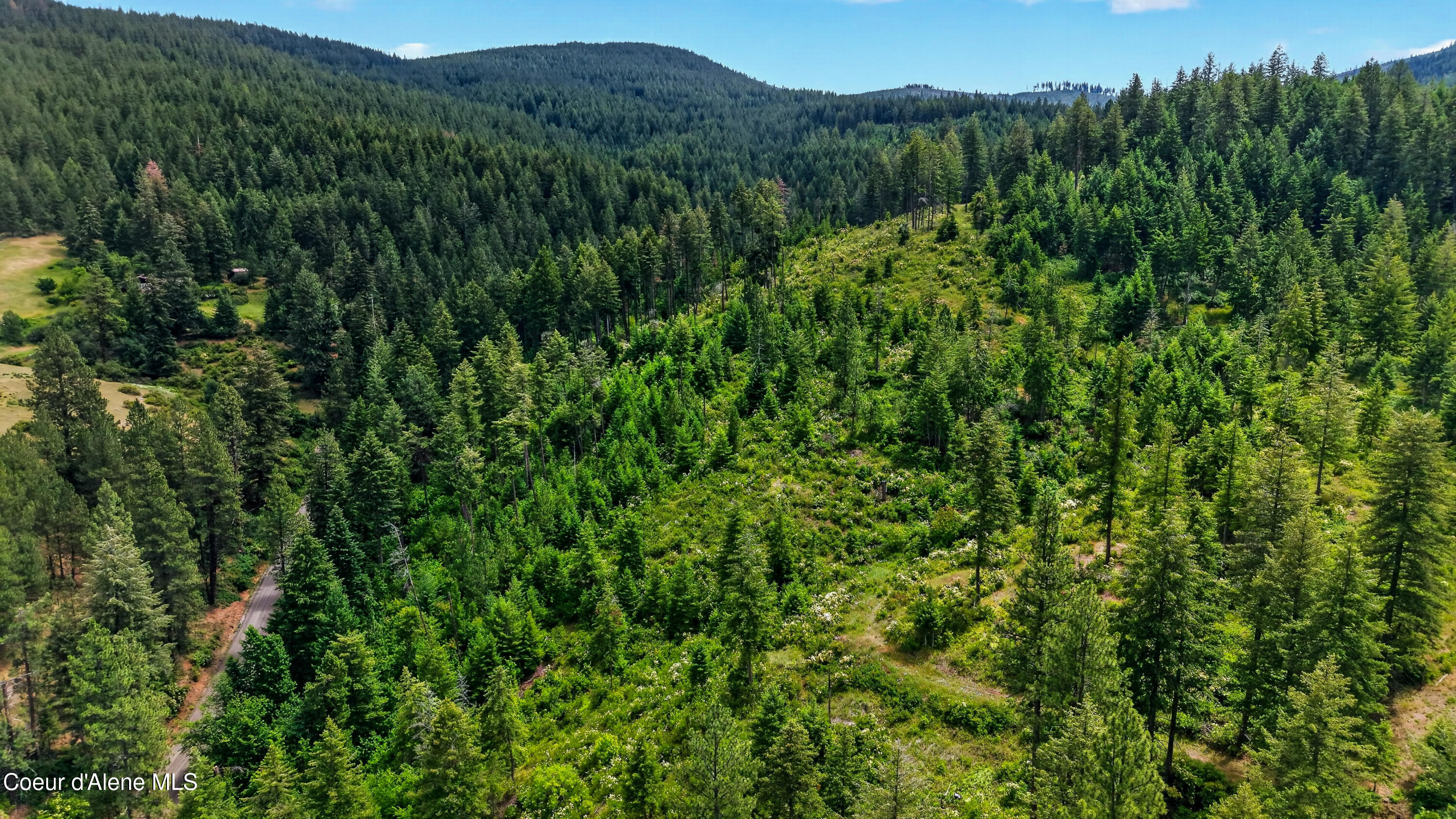 3343 South Carpenter Loop Post Falls, ID 83854 - Photo 11 of 49 DJI_20260630035011_0049_D