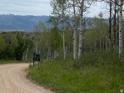 2604 South Forest Meadow Road, Unit C82 Coalville, UT 84017 - Photo 4 of 27 Expansive natural setting featuring a dirt road and mature aspen trees