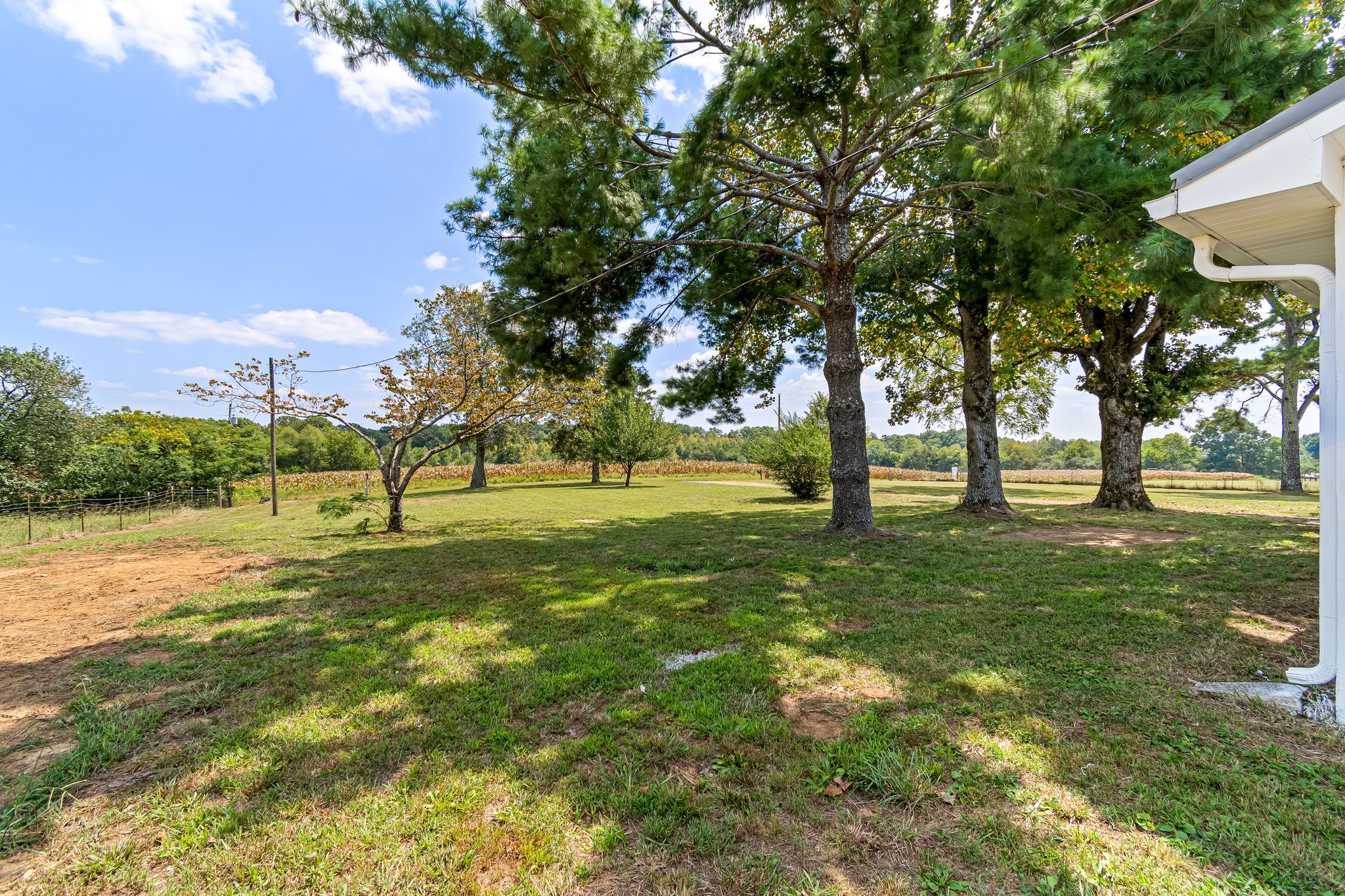 3701 Womble Ridge Road Ethridge, TN 38456 - Photo 42 of 55 Gallery Image 42