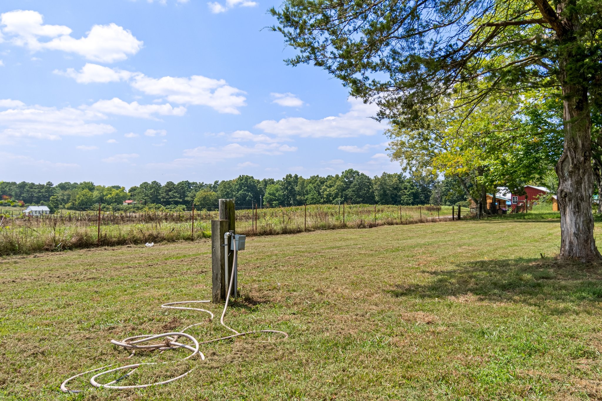3701 Womble Ridge Road Ethridge, TN 38456 - Photo 46 of 55 Gallery Image 46